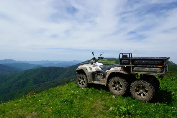 rm650-2_6x4_012_result