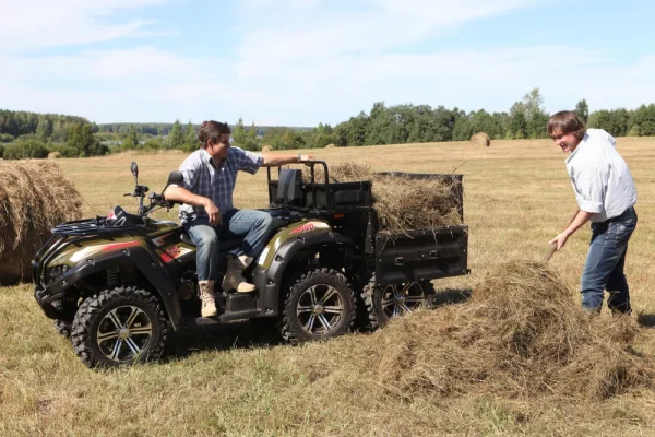 rm650-2_6x4_017_result