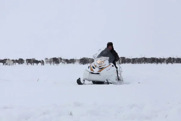 tayga_patrul551swt_003_result