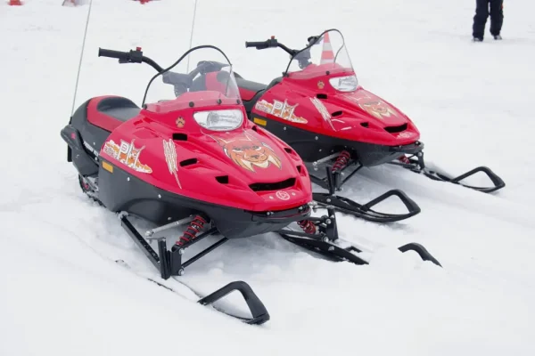 tayga_rm_rys_001_result