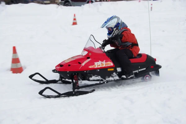 tayga_rm_rys_005_result