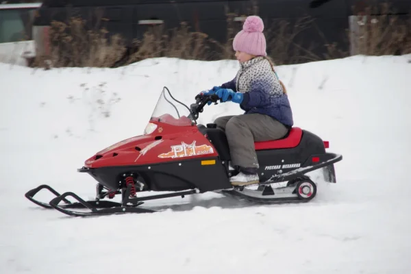 tayga_rm_rys_007_result