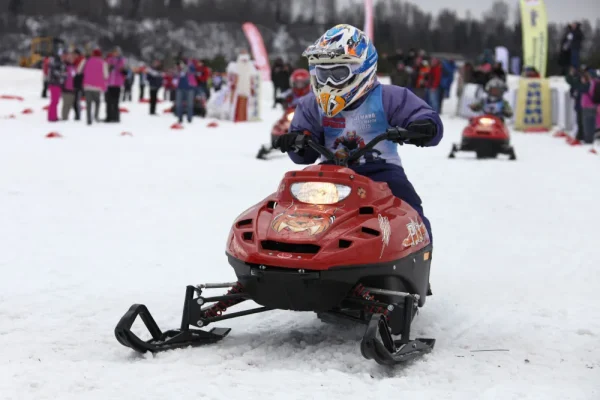 tayga_rm_rys_010_result